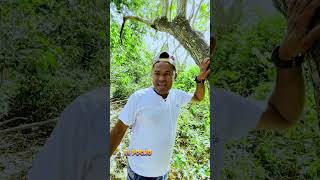 en el bosque con hambre #video #humor #comedia