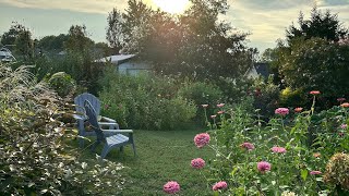 🌱🍂 Late Summer Cottage Garden Tour