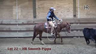 Lot 22 ~ HR Smooth Pippa