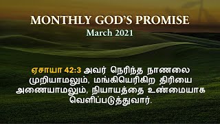 Monthly God's Promise Prayer (March 2021)-ஏசாயா 42:3 அவர் நெரிந்த நாணலை முறியாமலும், மங்கியெரிகிற..