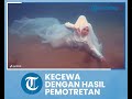 seorang perempuan kecewa dengan hasil pemotretan di bawah laut akui hasil foto mirip cumi cumi