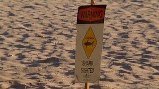 Tourist dies after shark attack in Hawaii