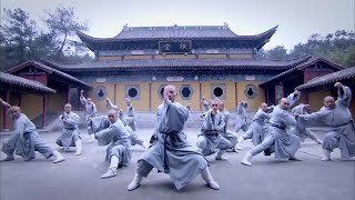 The 18 arhats of the Shaolin Temple are unbeatable, but easily defeated by the wounded kung fu boy.