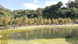 ❤️❤️桃園鳳飛月眉古道秘境🌺大溪舊厝老街后尾巷🌺月眉人工濕地生態公園湖泊落羽松山豬湖生態園區中庄吊橋河濱步道公園大溪左岸調整池湖泊風光大溪蓮座山觀音寺武陵橋🌺三重新莊市區環景環漢路🌺天賜之音❤️❤️