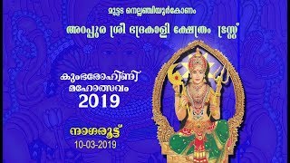 03 Nagaroottu   Arappura Temple Festival 2019