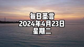 【每日圣言】2024年4月23日 星期二