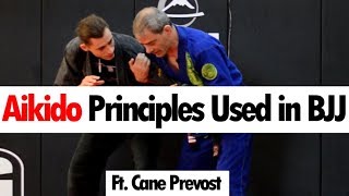 Aikido Principles Used in Brazilian Jiu Jitsu • Martial Arts Journey