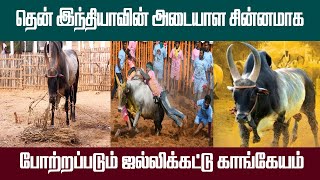 தென் இந்தியாவின் அடையாள சின்னமாக, போற்றப்படும்  சீறிவரும் காளைகள்.