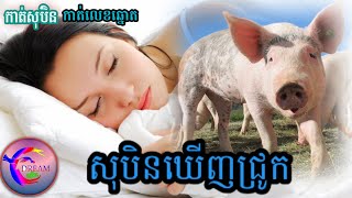 សុបិនឃើញជ្រូក(កាត់លេខឆ្នោត)_@សុបិន-Dream