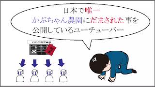 ケフィア（かぶちゃん農園）７：中間配当金