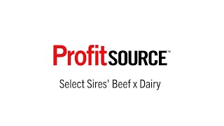 ProfitSOURCE™ | Select Sires' Beef x Dairy