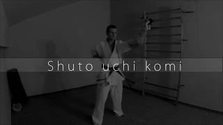 Shuto Uchi Komi - Kyokushin Green Belt 4th kyu strike