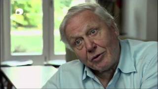 David Attenborough Plastic Oceans