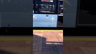 Lambton Quay,Wellington 23/1/25 #youtubeshorts #wellington #shorts  #walkthrough #bus #busstop