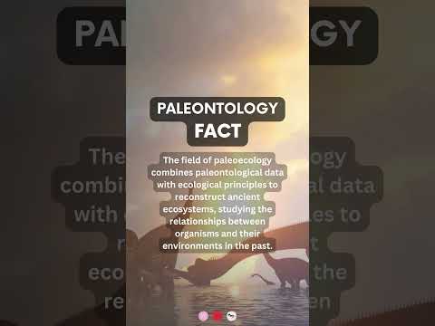 What is a paleoecology and ecology?