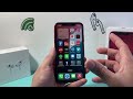 ios 18.2.1 official on iphone xr review