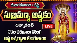 LIVE: మంగళవారం రోజు సుబ్రమణ్య అష్టకం ఉదయాన్నే వింటే కోట్లు సంపాదిస్తారు | Sri Subramanya Ashtakam