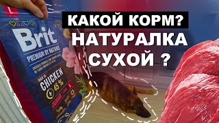 Натуральный корм или Сухой корм? Что мы выбираем и почему!