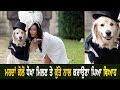 Woman Model Marriage With Dog in England | Full Video | Hamdard Tv |