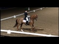 dressage cdi 3* ashley holzer u0026 pop art 2010 royal winter fair