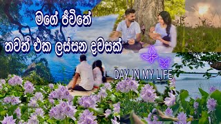 🍃🌸නිදහස් ගමක ගෙවෙන මගේ ලස්සන ජීවිතෙන් දවසක්🌾💦  DAY IN MY LIFE |#heartofthevillage