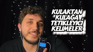 SİZİ UYUTACAK KULAKTAN KULAĞA TETİKLEYİCİ KELİMELER ~ TASCAM ~ UYUMA GARANTİLİ ~ TÜRKÇE ASMR