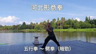 形意拳 劈拳～暗勁