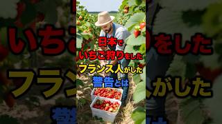 【海外の反応】「不味いに決まってる」日本でイチゴ狩りをしたフランス人がした警告とは#日本 #海外の反応 #雑学