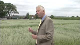 Barenbrug Cropvale Grass Research Site Open Day 2013