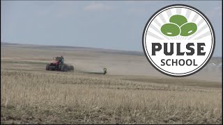 Pulse School: The right time to roll