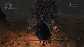 Bloodborne® 恐ろしい獣 ルドウイークの聖剣 両手持ちで挑戦