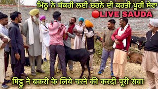 ਮਿੱਠੂ ਨੇ ਬੱਕਰੀ ਲਈ ਚਰਨੇ ਦੀ ਕਰਤੀ ਪੂਰੀ ਸੇਵਾ #live_sauda lehrabega bakri bazar goat farming @farmingbaba