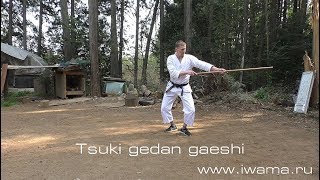 Айкидо Ивама Рю. 20 джо субури. Aikido Iwama Ryu. Iwama after keiko. 20 jo suburi.