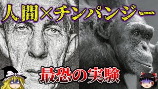 【ゆっくり解説】人間×チンパンジー‥ヤバすぎた衝撃の実験結果