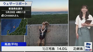 わんちゃーん、かわいいねー💕←言い方が可愛すぎ【高山奈々】