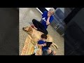 Mom Breaks Down In Tears When Son with Autism Meets Service Dog Mom Breaks Down In Tears When Son with Autism Meets Service Dog