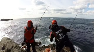 【磯釣り】寒グレを釣りに行ったらバケモノ級が釣れました。