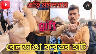 বেলডাঙ্গা বিখ্যাত কবুতরের হাট Beldanga is the famous pigeon market