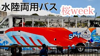 【スカイダック】大きな車体で陸も水面も楽しめる♬大人気桜WEEKでお花見しながら東京観光♬小5男子の春休み☆