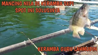 MANCING IKAN NILA DI RIAM KANAN_KERAMBA GURU LAHMUDIN