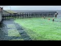 More algae blooms popping up on Lake Okeechobee