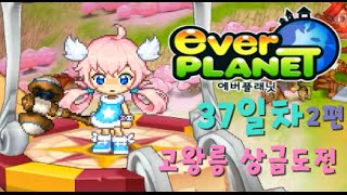 [지응] 고왕릉 상급도전! ☞ 에버플래닛 만랩찍기 컨텐츠＊37일차 2편