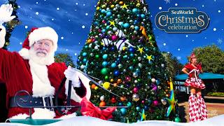 2026 First-timer’s Guide to SeaWorld Orlando Christmas Celebration ❄️