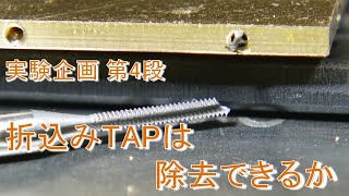 実験企画4 折込みTAP除去