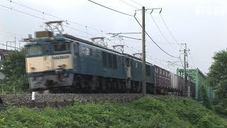 EF64形電機国鉄色重連仕業の貨物列車　2009年　信越本線北長野駅他　HDV-1641