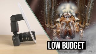 Want to do Macro Photography on a budget? Here’s how