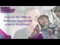 Masters in Molecular Engineering: How are the Masters projects structured?