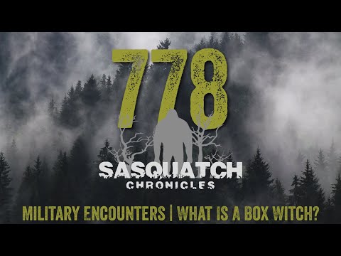 SC EP:778 Military Encounters What Is A Box Witch?