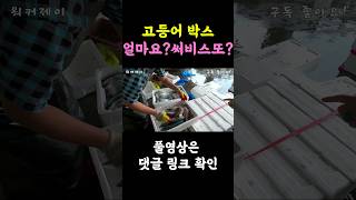 써비스 막주네? 뭔일이야? 박스 하나에 만원! #세일 #반값 # 어시장 #수산시장 #할인 #활어