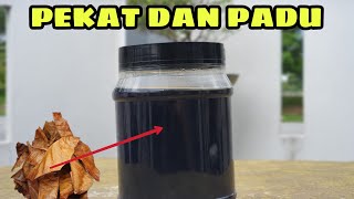 CARA MEMBUAT PATI KETAPANG YANG PEKAT. | Mudah je rupanya buat pati ketapang ni sebenarnya..😁